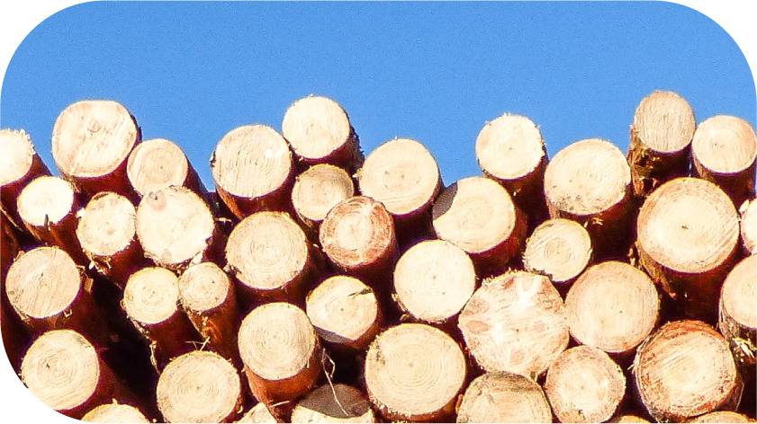 Stock-pics-in-shapeAsset-8