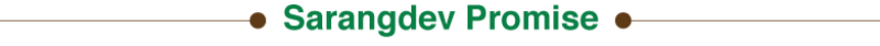 Sarangdev promise headlineAsset 15